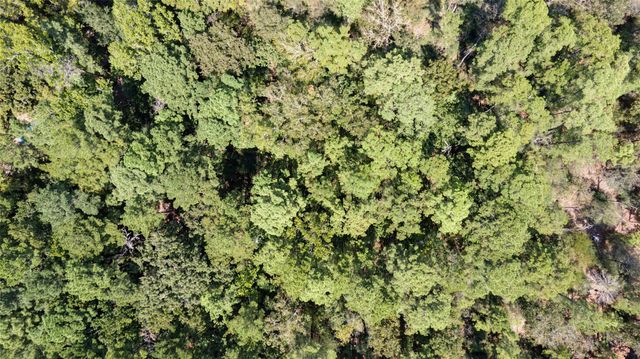 Lot 8 Tejas Street, Huntsville, TX 77320
