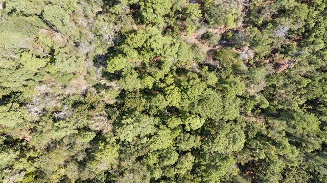 Lot 8 Tejas Street, Huntsville, TX 77320