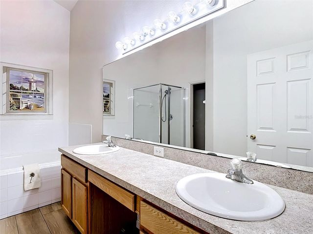 1029 BRAYTON LANE, Davenport, FL 33897