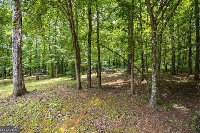 201 Manor Court, Forsyth, GA 31029
