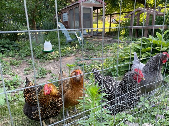 1746 Malibu DRIVE, Cedarburg, WI 53012