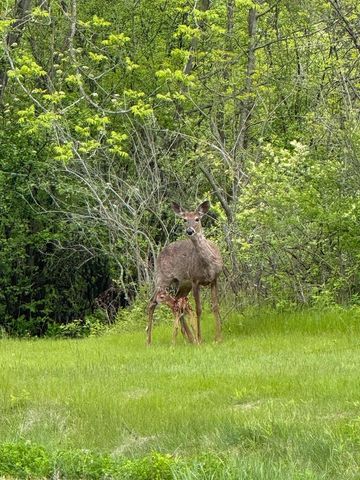 1746 Malibu DRIVE, Cedarburg, WI 53012