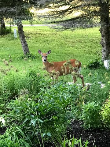 1746 Malibu DRIVE, Cedarburg, WI 53012