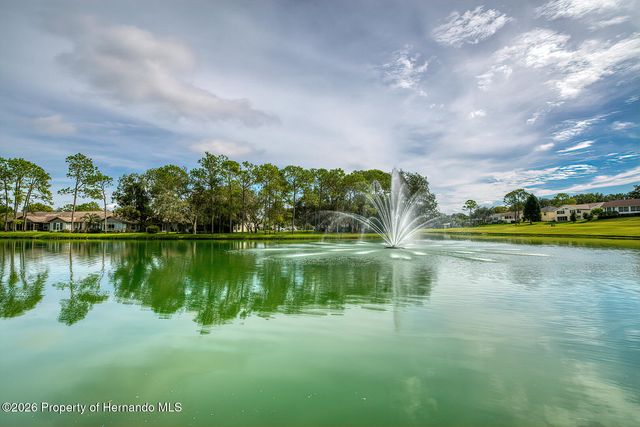 8015 Hidden Hills Drive, Spring Hill, FL 34606