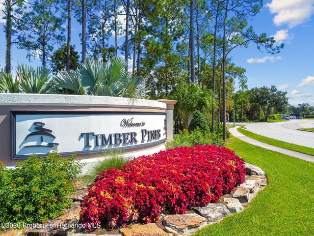 8015 Hidden Hills Drive, Spring Hill, FL 34606