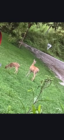 679 New Hope Church Road, Barbourville, KY 40906