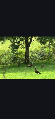 679 New Hope Church Road, Barbourville, KY 40906