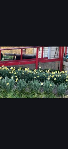 679 New Hope Church Road, Barbourville, KY 40906