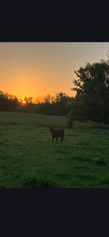 679 New Hope Church Road, Barbourville, KY 40906