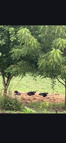 679 New Hope Church Road, Barbourville, KY 40906