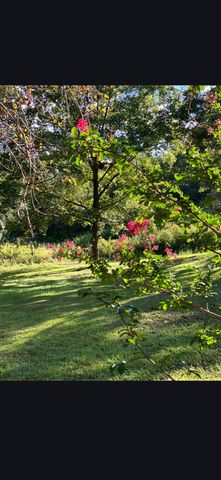 679 New Hope Church Road, Barbourville, KY 40906