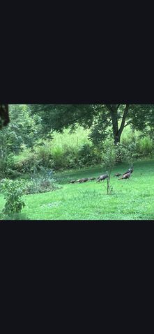 679 New Hope Church Road, Barbourville, KY 40906