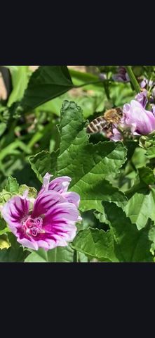 679 New Hope Church Road, Barbourville, KY 40906