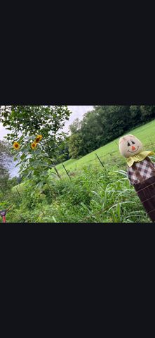 679 New Hope Church Road, Barbourville, KY 40906