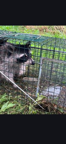 679 New Hope Church Road, Barbourville, KY 40906