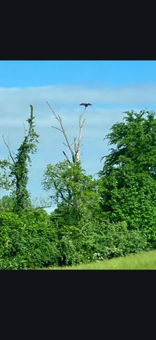 679 New Hope Church Road, Barbourville, KY 40906