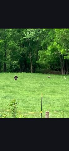 679 New Hope Church Road, Barbourville, KY 40906