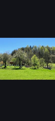 679 New Hope Church Road, Barbourville, KY 40906