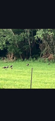 679 New Hope Church Road, Barbourville, KY 40906