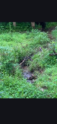 679 New Hope Church Road, Barbourville, KY 40906