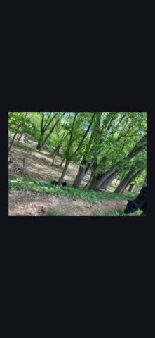 679 New Hope Church Road, Barbourville, KY 40906