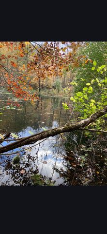 679 New Hope Church Road, Barbourville, KY 40906