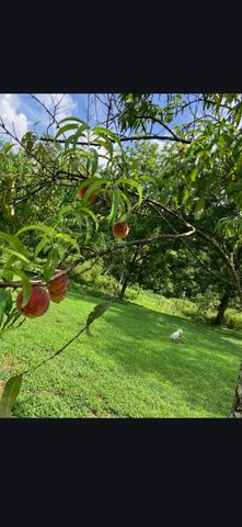 679 New Hope Church Road, Barbourville, KY 40906