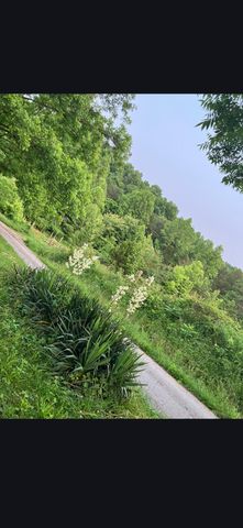 679 New Hope Church Road, Barbourville, KY 40906