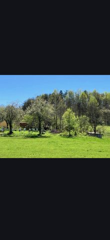 679 New Hope Church Road, Barbourville, KY 40906