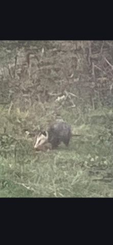 679 New Hope Church Road, Barbourville, KY 40906