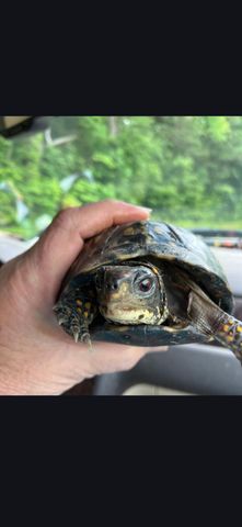 679 New Hope Church Road, Barbourville, KY 40906