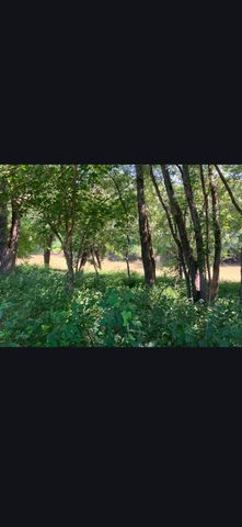 679 New Hope Church Road, Barbourville, KY 40906