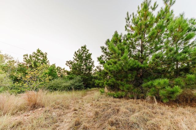 139 Village Forest DR, Smithville, TX 78957