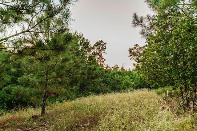 139 Village Forest DR, Smithville, TX 78957