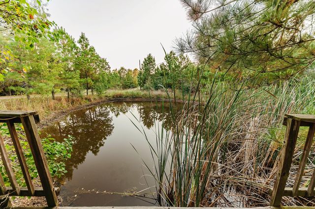 139 Village Forest DR, Smithville, TX 78957