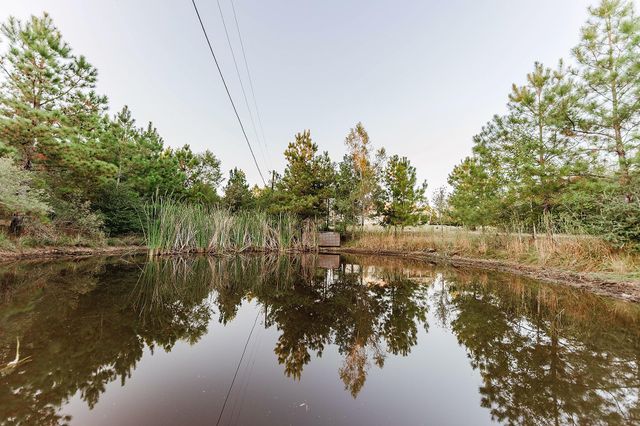 139 Village Forest DR, Smithville, TX 78957