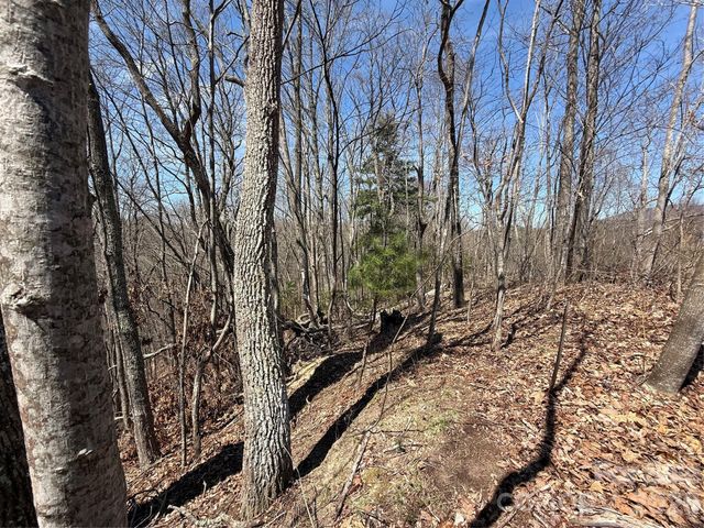 000 Granny Shepherd Road Lot 2, Mars Hill, NC 28754