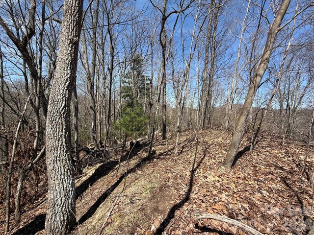 000 Granny Shepherd Road Lot 2, Mars Hill, NC 28754