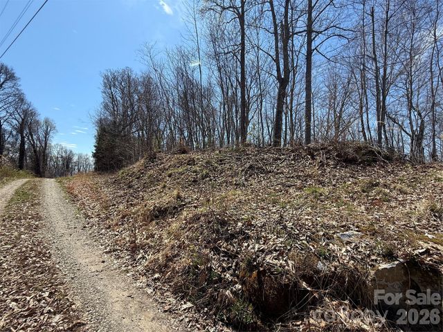 000 Granny Shepherd Road Lot 2, Mars Hill, NC 28754