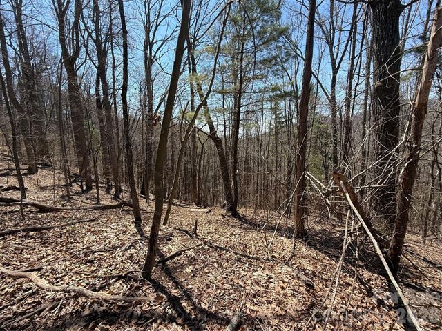 000 Granny Shepherd Road Lot 2, Mars Hill, NC 28754