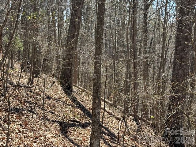 000 Granny Shepherd Road Lot 2, Mars Hill, NC 28754