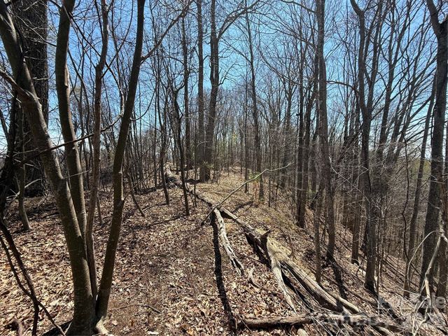 000 Granny Shepherd Road Lot 2, Mars Hill, NC 28754