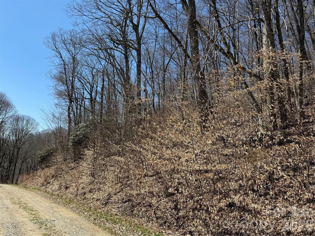 000 Granny Shepherd Road Lot 2, Mars Hill, NC 28754