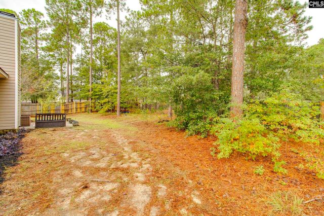 314 Loon Court, Blythewood, SC 29016
