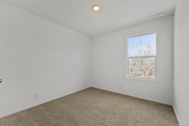 14718 Candelabra Cactus, San Antonio, TX 78221