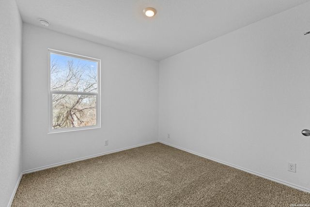 14718 Candelabra Cactus, San Antonio, TX 78221