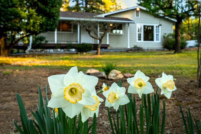 13506 Squirrel Creek Rd, Grass Valley, CA 95945