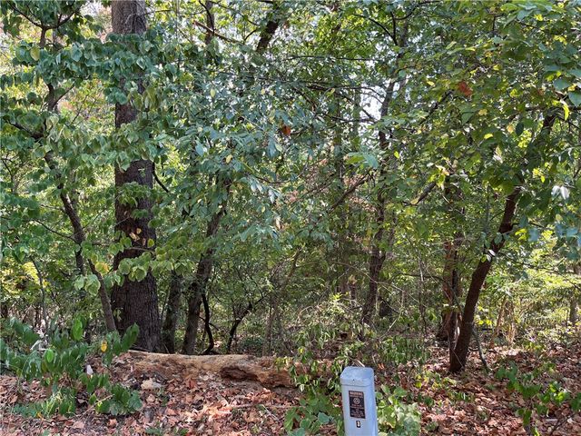 Stone Lane, Bella Vista, AR 72714