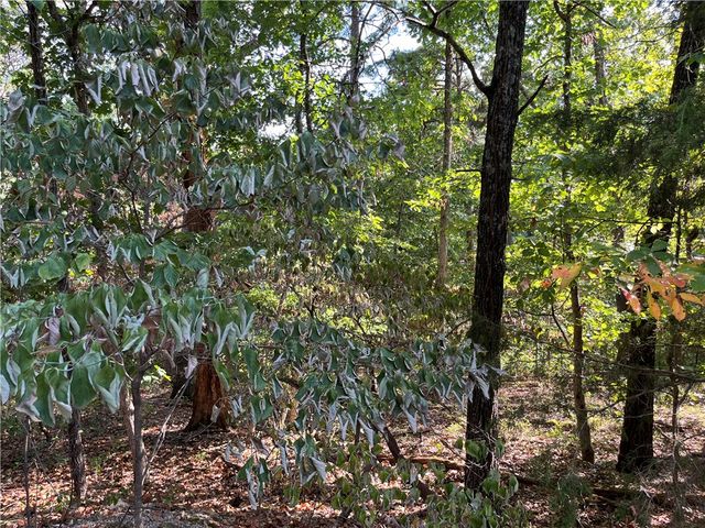Stone Lane, Bella Vista, AR 72714