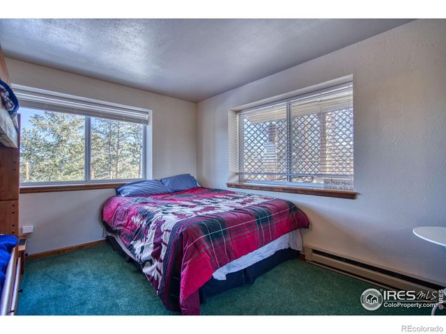 231 Snake Lake Drive, Red Feather Lakes, CO 80545